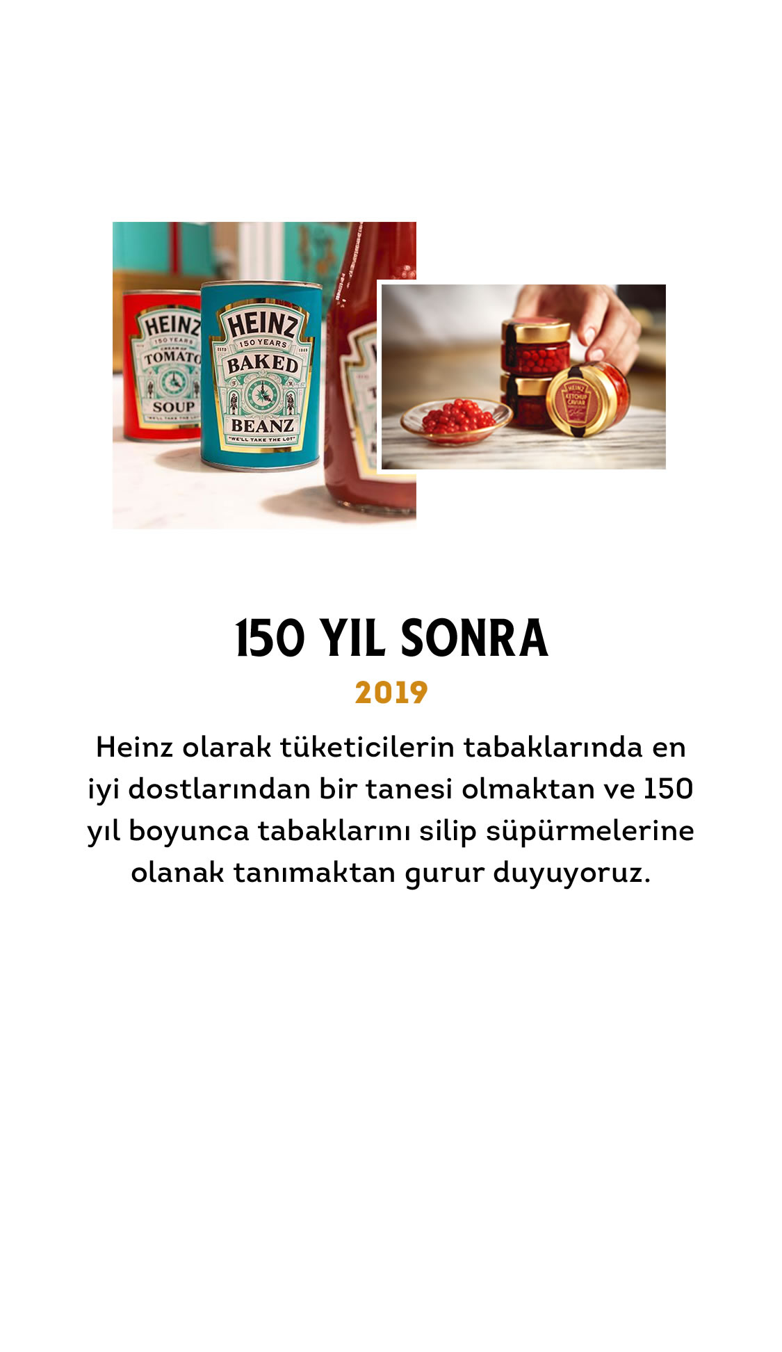 Heinz Turkiye Urun Arama